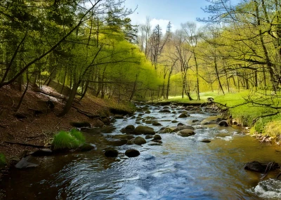 Rybářův rok - Duben…