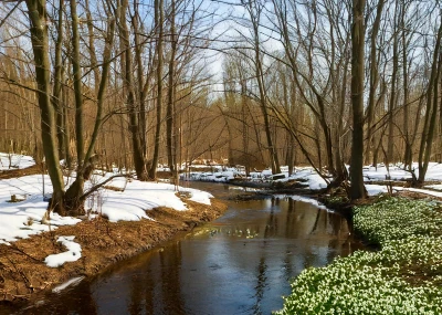 Rybářův rok - Březen