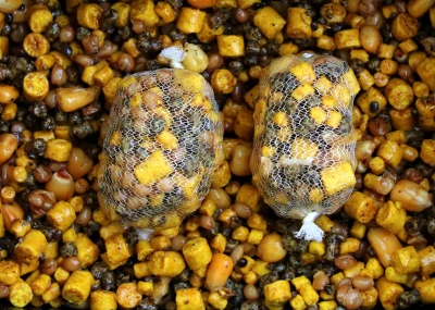 Můj kaprařský rok: Duben – start kapřích hodů!