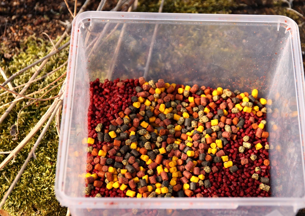 Můj kaprařský rok