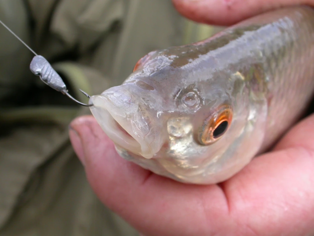 Potočák na olověnou klasickou marmyšku