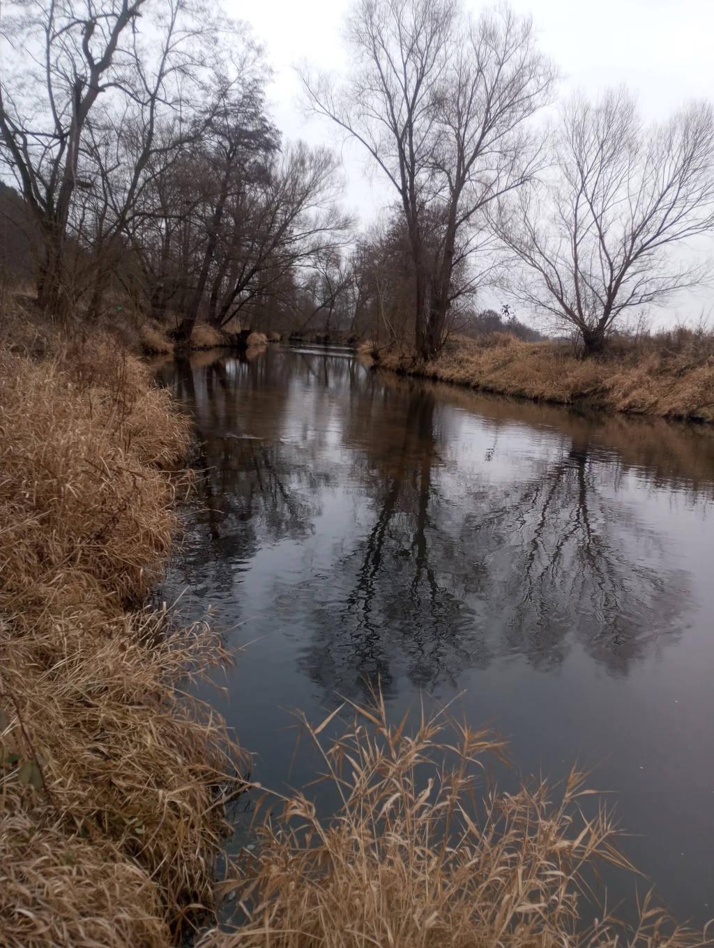 Mže pod jezem v Radčicích