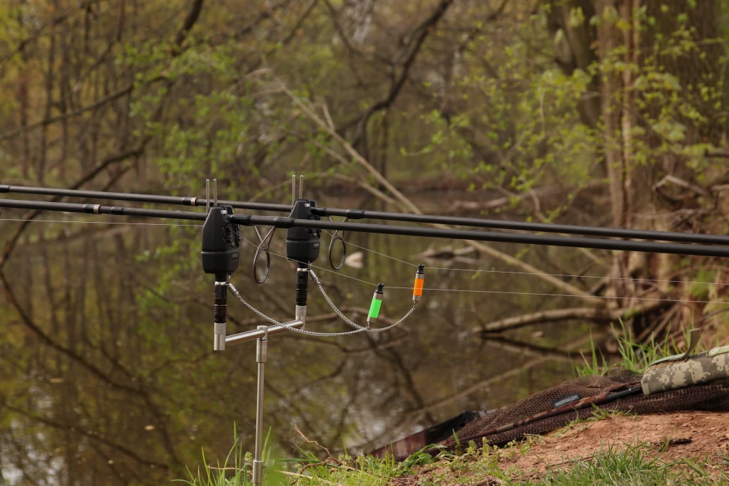 Můj kaprařský rok
