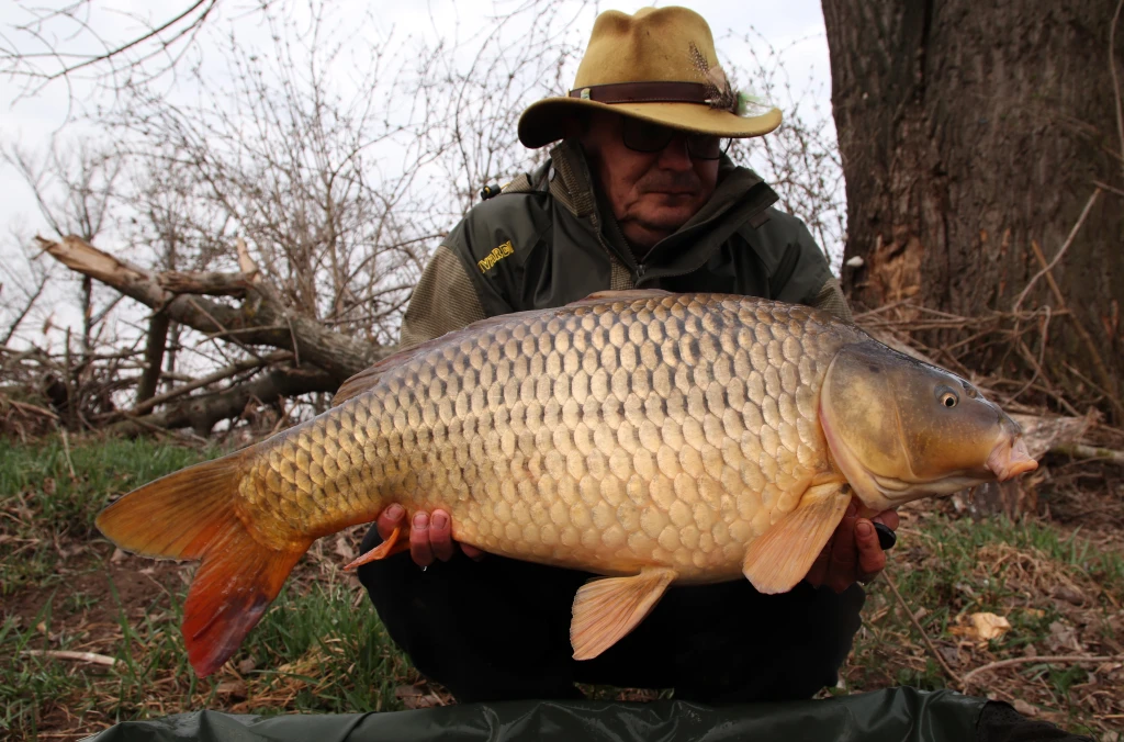 Můj kaprařský rok
