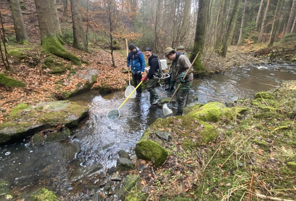 Odlov generačních Po (pstruh obecný f. potoční) studenty 4. ročníků