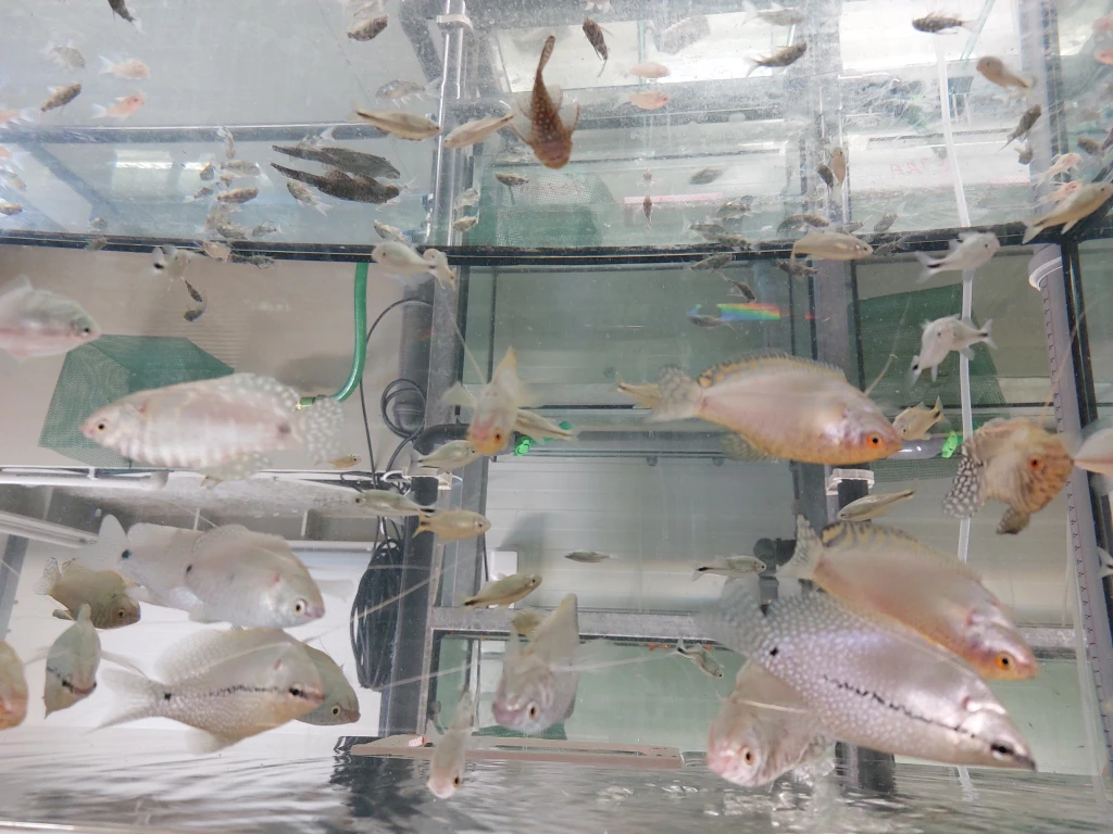 Čistá přefiltrovaná voda