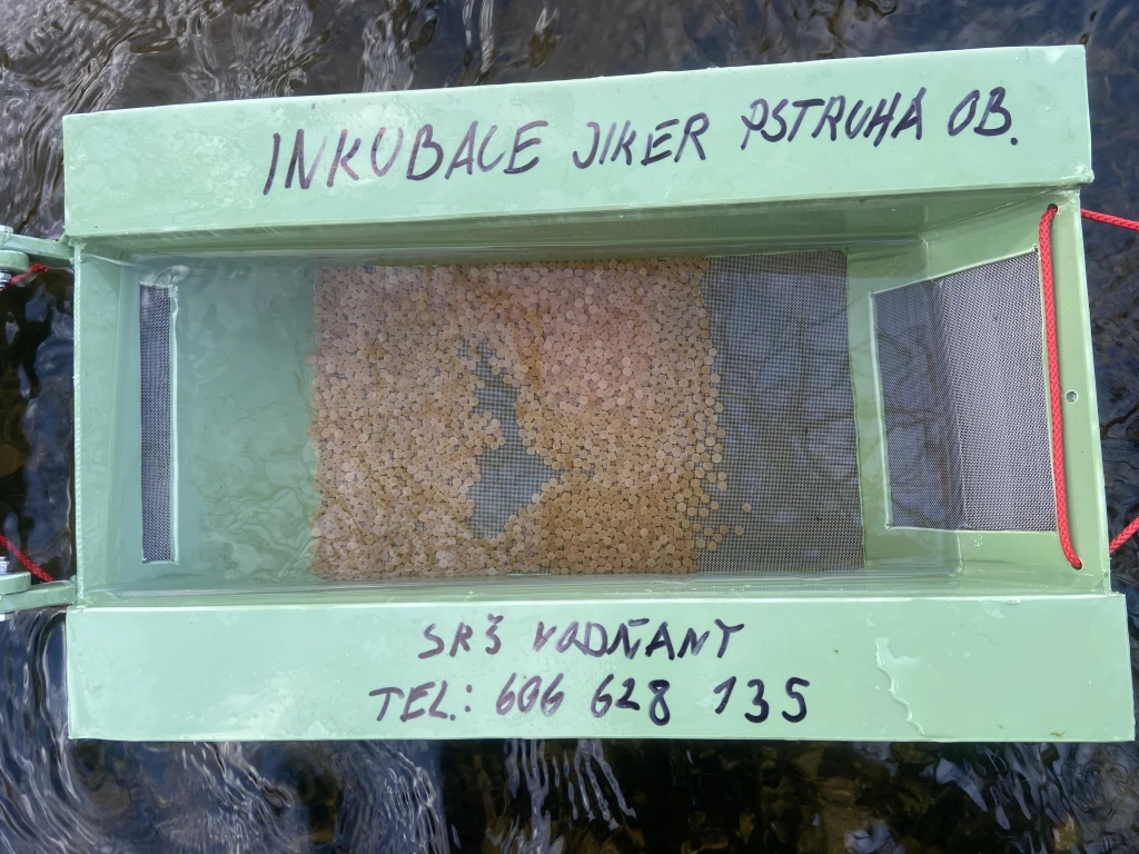 Plovoucí inkubační schránka s jikrami Po vhodná pro použití přímo v toku