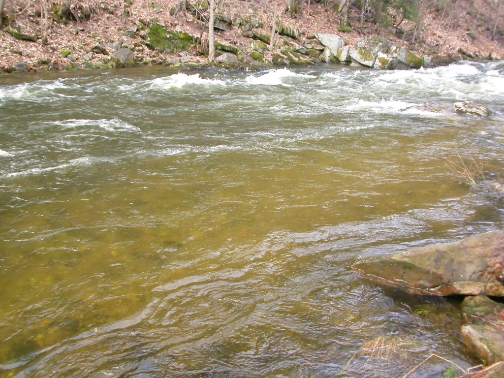 Rychlý proud s tůňkami, které hostí pstruhy