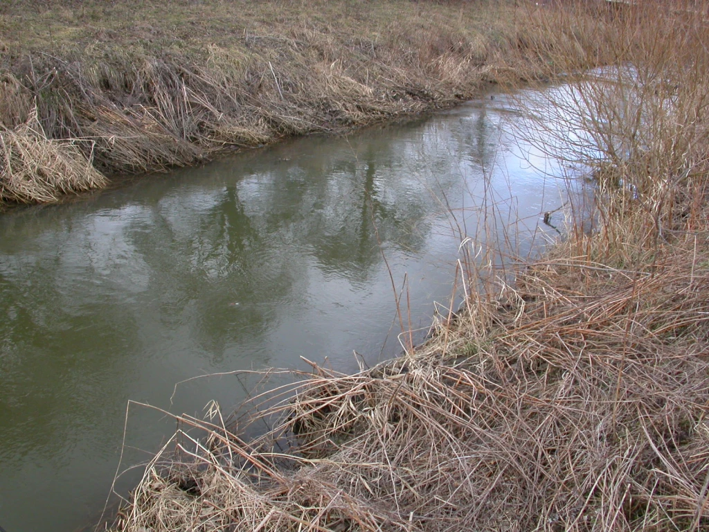 Větší potok ve středních Čechách s menší hloubkou