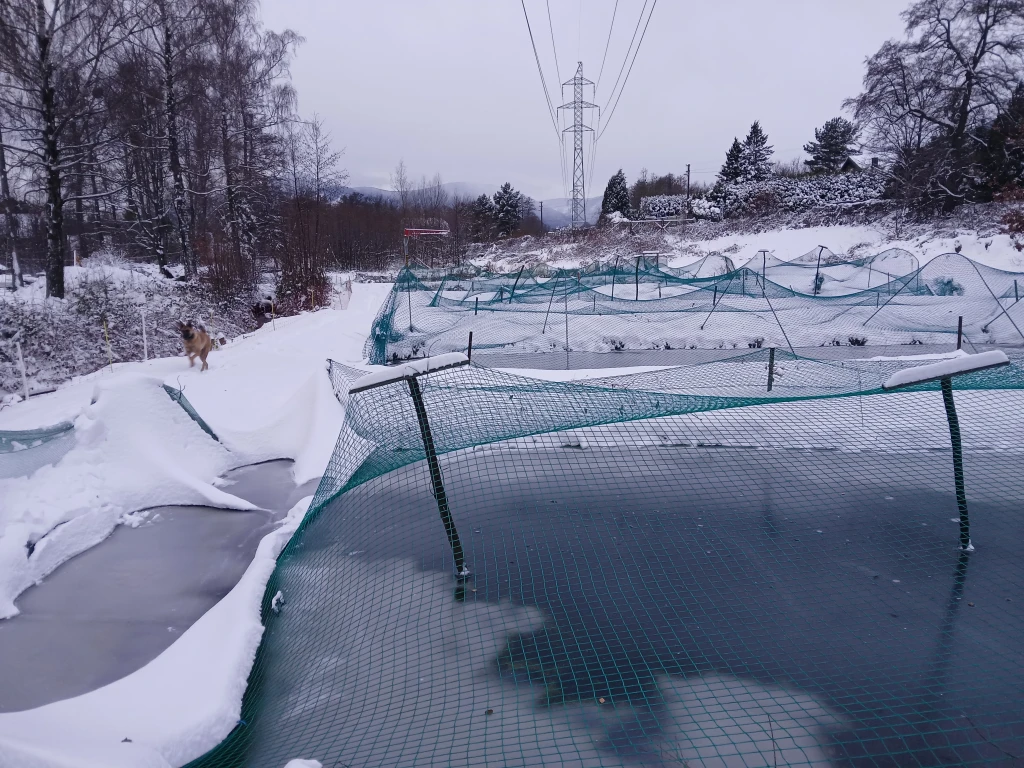 Dnešní přírodní sádky pod sněhem