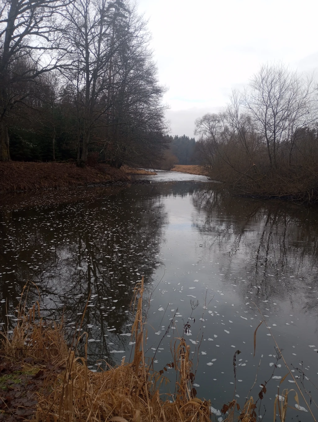 Nežárka - lze najít opravdu klidná místa
