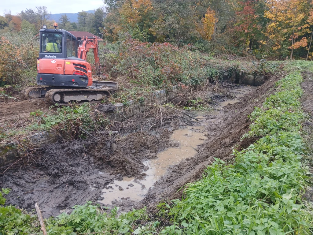 Čištění zanedbané sádky po 10 letech