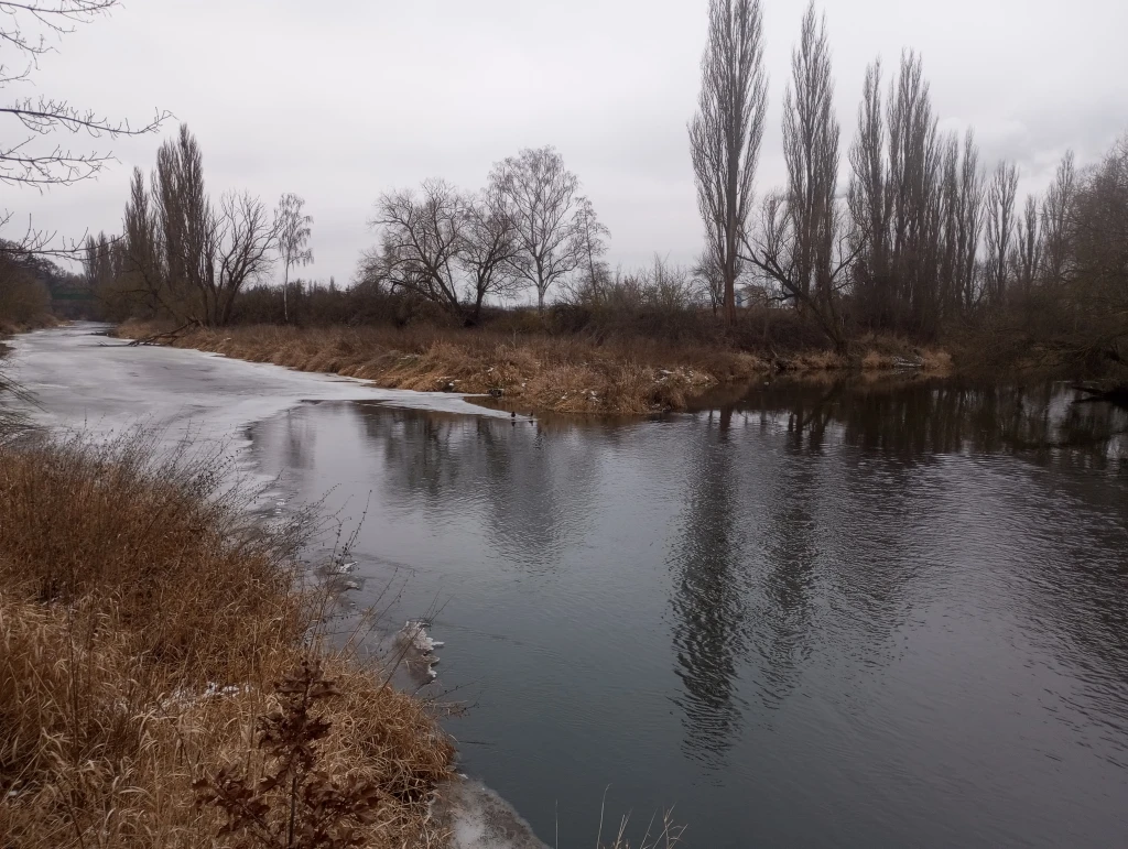 Soutok Berounky a Úslavy