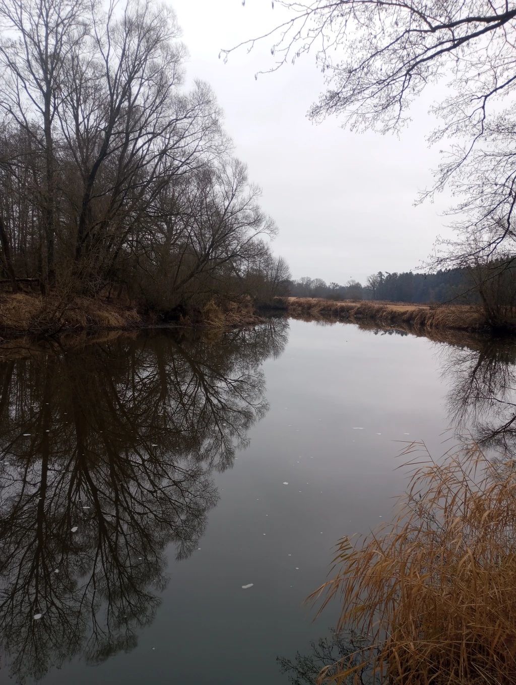 Nežárka - klidný tok mezi stupni