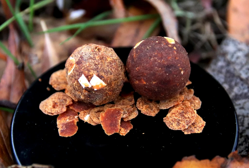 Můj kaprařský rok