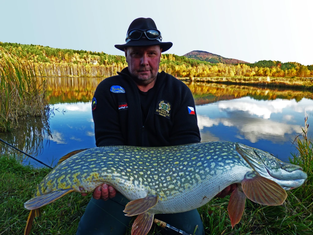 I takovou štiku lze chytit na velkou marmyšku. Trofejní ryba měřila 118 cm.