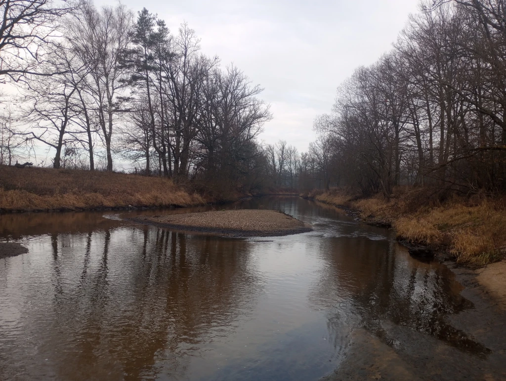 Nežárka úsek toku pod jezem Jemčina