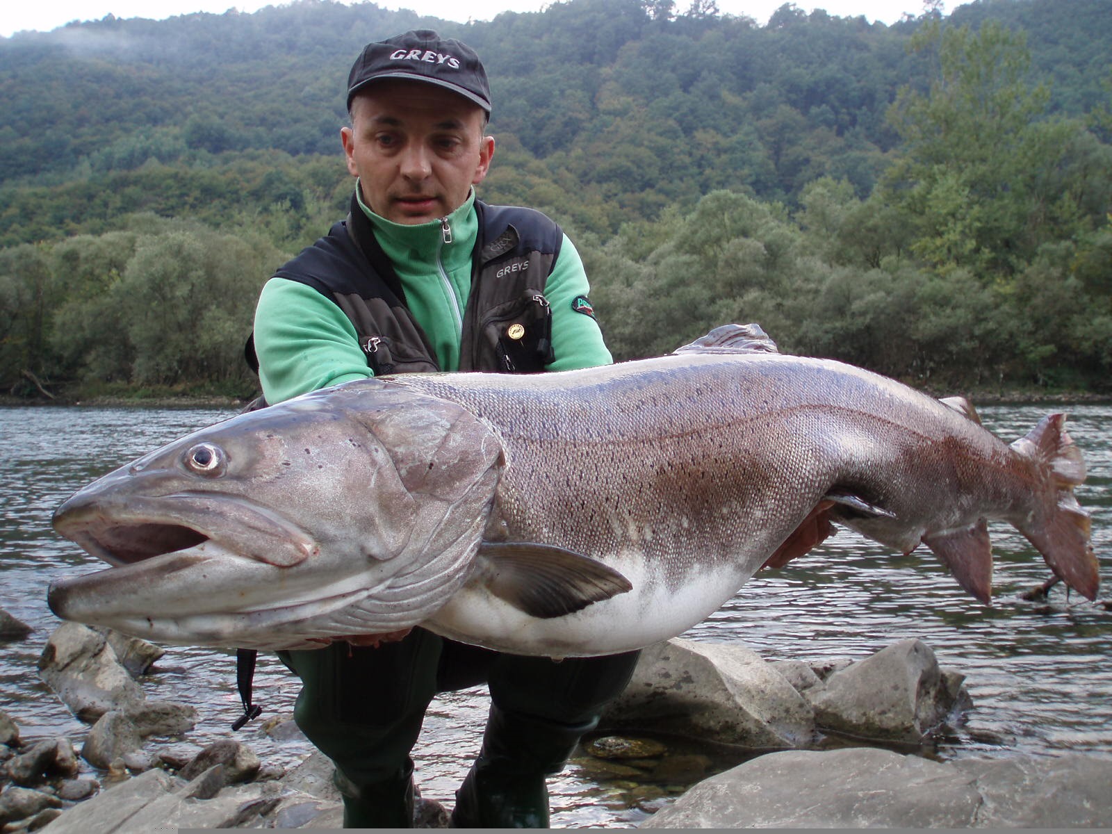 Рыба в сербии