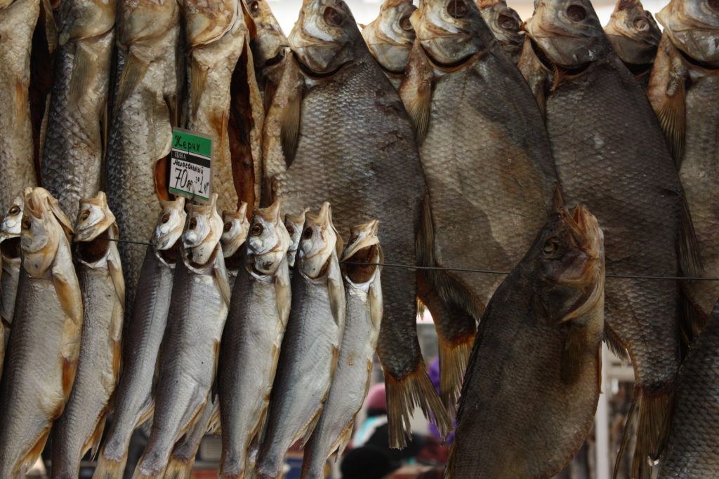 rybí trh
