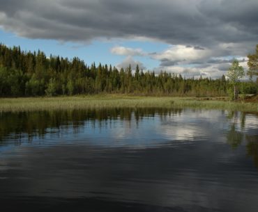 rybaření ve Švédsku