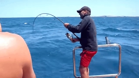 rybaření