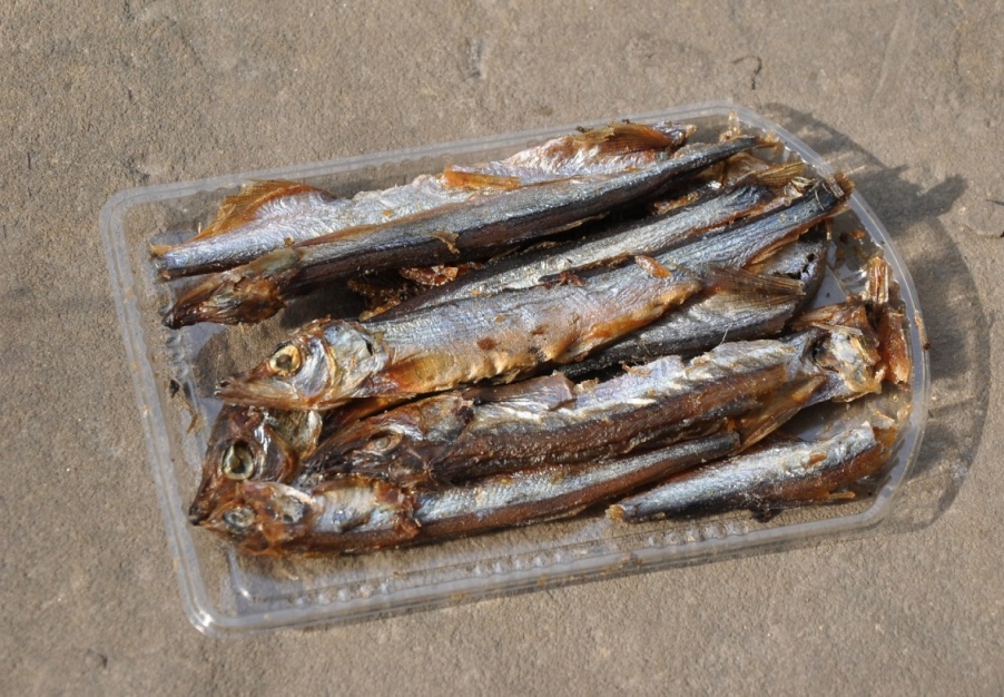 sušené ryby